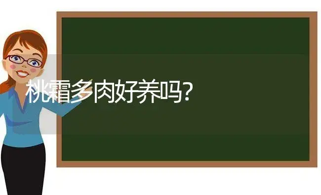 桃霜多肉好养吗？ | 多肉养殖