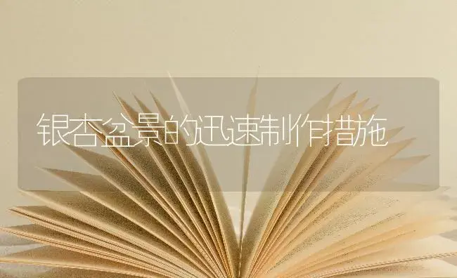 银杏盆景的迅速制作措施 | 特种种植