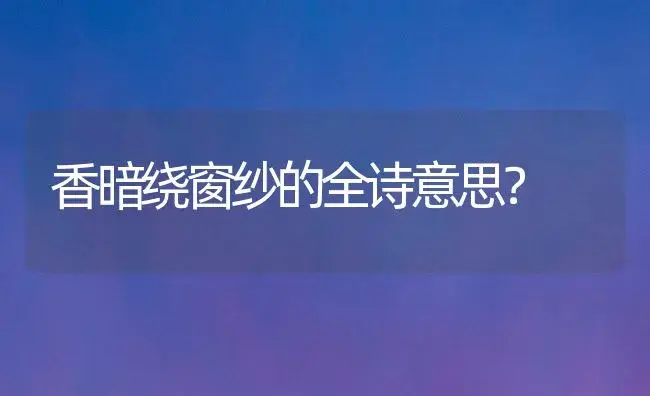 香暗绕窗纱的全诗意思？ | 多肉养殖