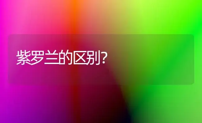 紫罗兰的区别？ | 绿植常识