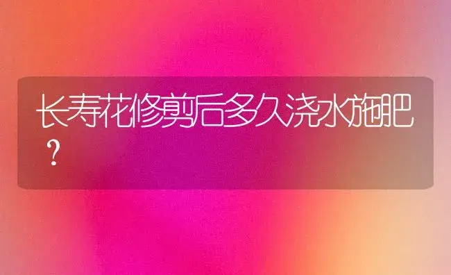 长寿花修剪后多久浇水施肥？ | 多肉养殖