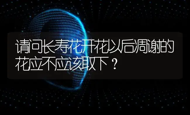 请问长寿花开花以后凋谢的花应不应该取下？ | 多肉养殖