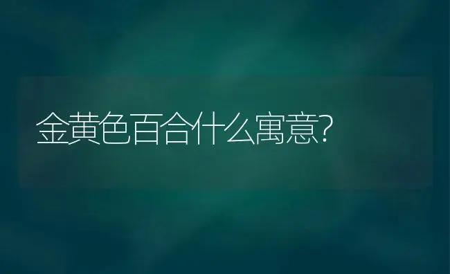 金黄色百合什么寓意？ | 绿植常识