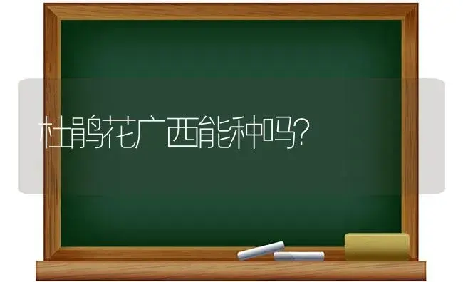 杜鹃花广西能种吗？ | 绿植常识