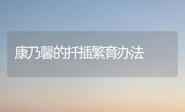 康乃馨的扦插繁育办法 | 家庭养花