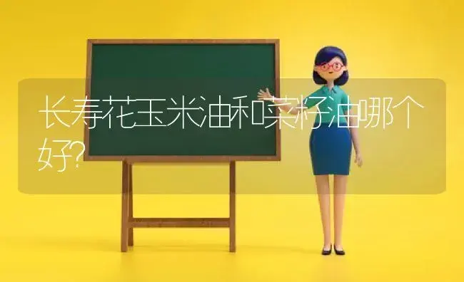 长寿花玉米油和菜籽油哪个好？ | 多肉养殖