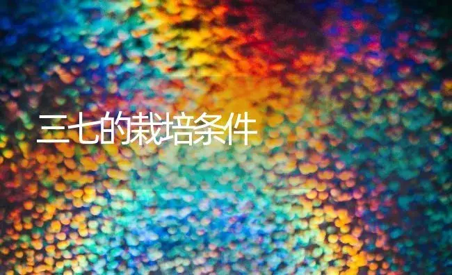 三七的栽培条件 | 药材种植