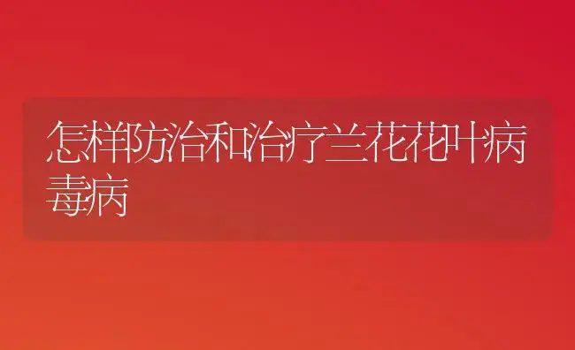 怎样防治和治疗兰花花叶病毒病 | 家庭养花