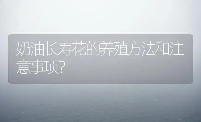 奶油长寿花的养殖方法和注意事项？ | 多肉养殖