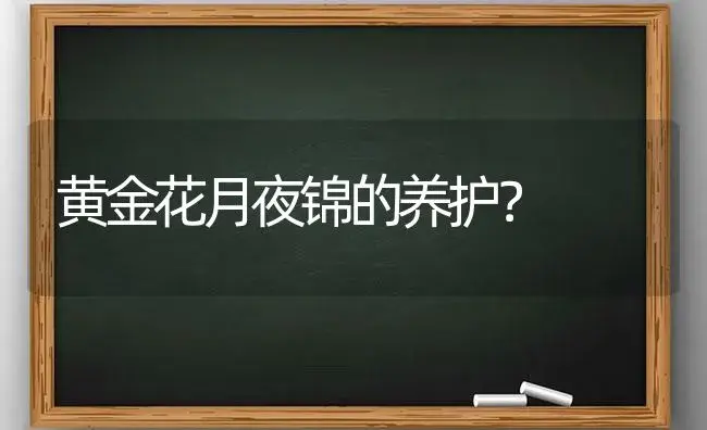 黄金花月夜锦的养护？ | 多肉养殖