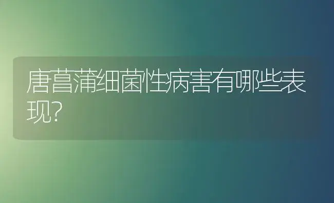 唐菖蒲细菌性病害有哪些表现？ | 家庭养花