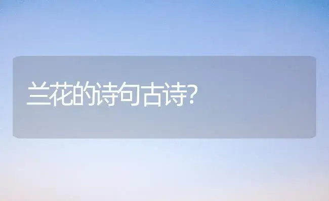 兰花的诗句古诗？ | 绿植常识