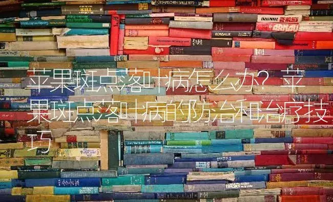 苹果斑点落叶病怎么办？苹果斑点落叶病的防治和治疗技巧 | 果木种植