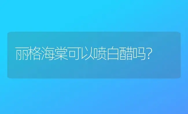 丽格海棠可以喷白醋吗？ | 绿植常识