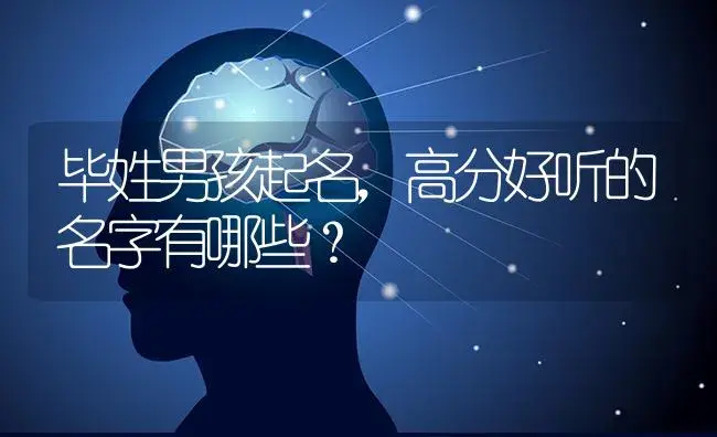 毕姓男孩起名,高分好听的名字有哪些？ | 多肉养殖