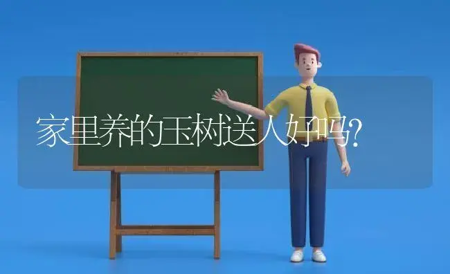 家里养的玉树送人好吗？ | 多肉养殖