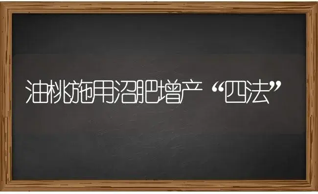 油桃施用沼肥增产“四法” | 果木种植