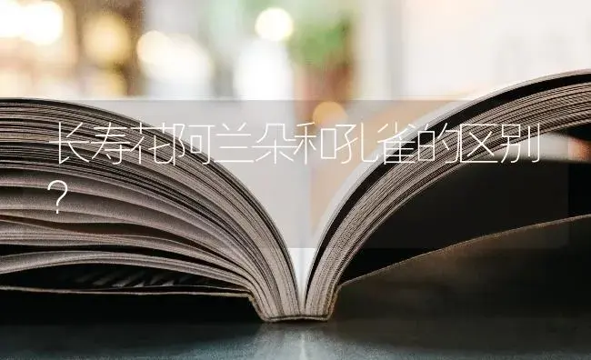 长寿花阿兰朵和孔雀的区别？ | 多肉养殖
