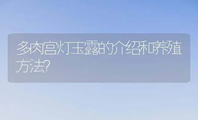 多肉宫灯玉露的介绍和养殖方法？ | 多肉养殖