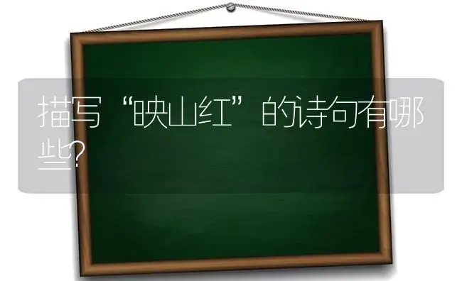 描写“映山红”的诗句有哪些？ | 绿植常识