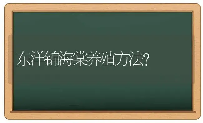 东洋锦海棠养殖方法？ | 绿植常识