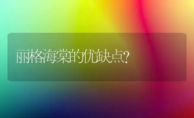 丽格海棠的优缺点？ | 绿植常识