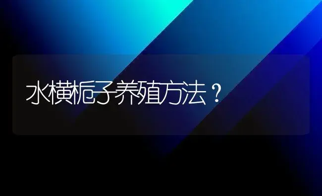 水横栀子养殖方法？ | 绿植常识