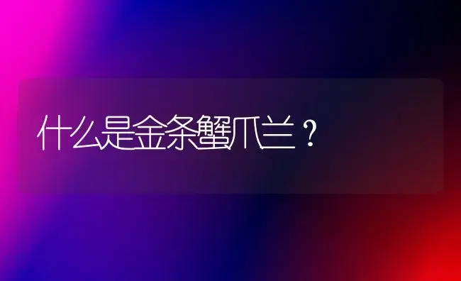 什么是金条蟹爪兰？ | 多肉养殖