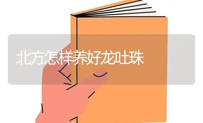 北方怎样养好龙吐珠 | 特种种植