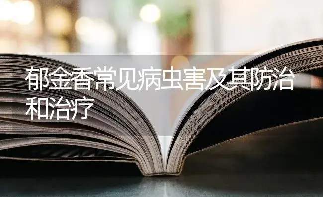 郁金香常见病虫害及其防治和治疗 | 特种种植