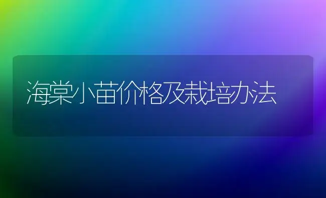 海棠小苗价格及栽培办法 | 家庭养花