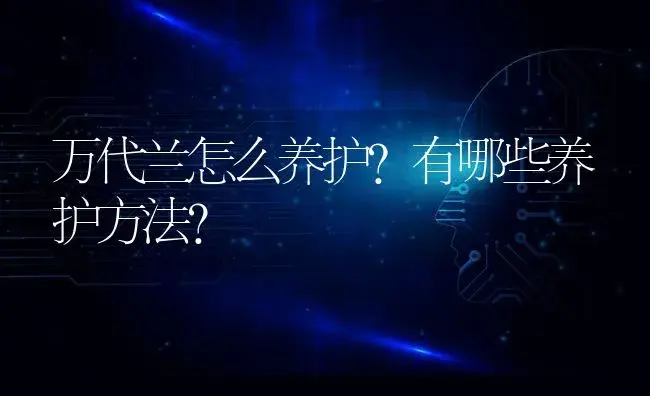 万代兰怎么养护？有哪些养护方法？ | 家庭养花