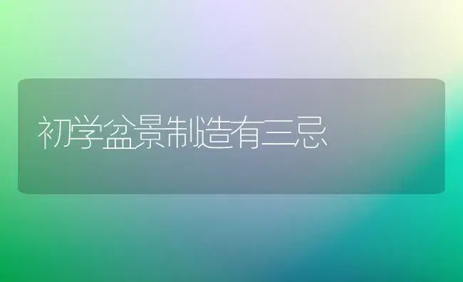 初学盆景制造有三忌 | 家庭养花