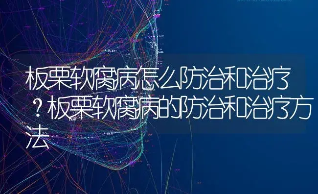 板栗软腐病怎么防治和治疗？板栗软腐病的防治和治疗方法 | 果木种植