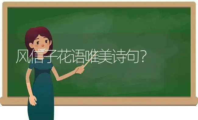 风信子花语唯美诗句？ | 绿植常识