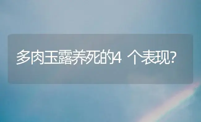 多肉玉露养死的4个表现？ | 多肉养殖