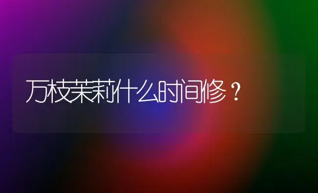 万枝茉莉什么时间修？ | 绿植常识