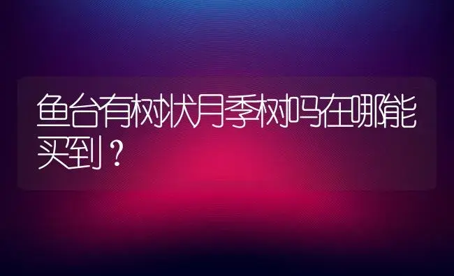 鱼台有树状月季树吗在哪能买到？ | 绿植常识