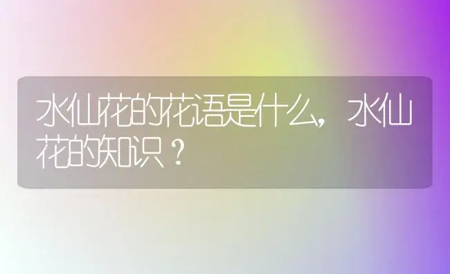 水仙花的花语是什么，水仙花的知识？ | 绿植常识
