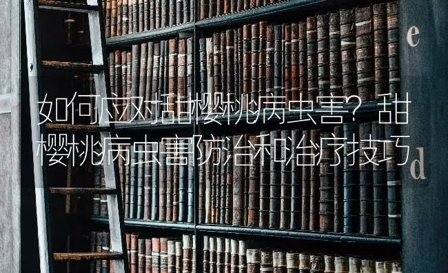 如何应对甜樱桃病虫害？甜樱桃病虫害防治和治疗技巧 | 果木种植