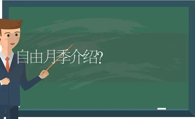 自由月季介绍？ | 绿植常识