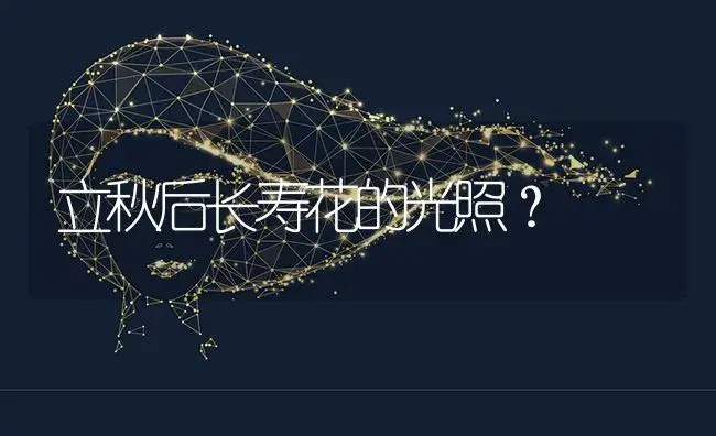 立秋后长寿花的光照？ | 多肉养殖