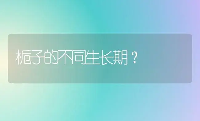 栀子的不同生长期？ | 绿植常识