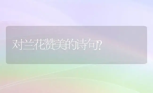 对兰花赞美的诗句？ | 绿植常识