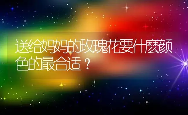 送给妈妈的玫瑰花要什麽颜色的最合适？ | 绿植常识