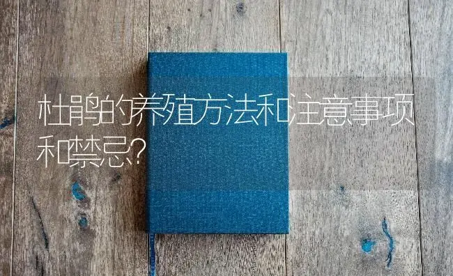 杜鹃的养殖方法和注意事项和禁忌？ | 绿植常识