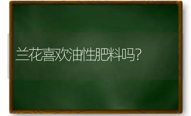 兰花喜欢油性肥料吗？ | 绿植常识