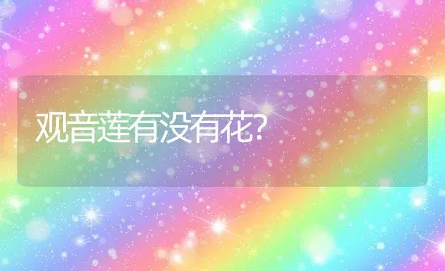 观音莲有没有花？ | 多肉养殖