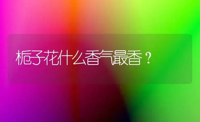 栀子花什么香气最香？ | 绿植常识