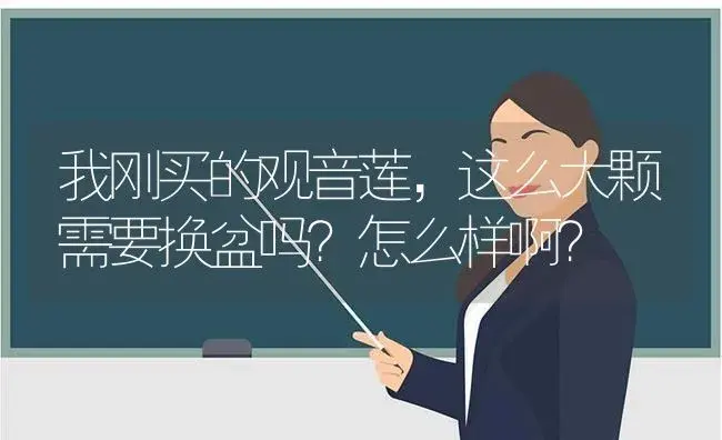 我刚买的观音莲,这么大颗需要换盆吗？怎么样啊？ | 多肉养殖